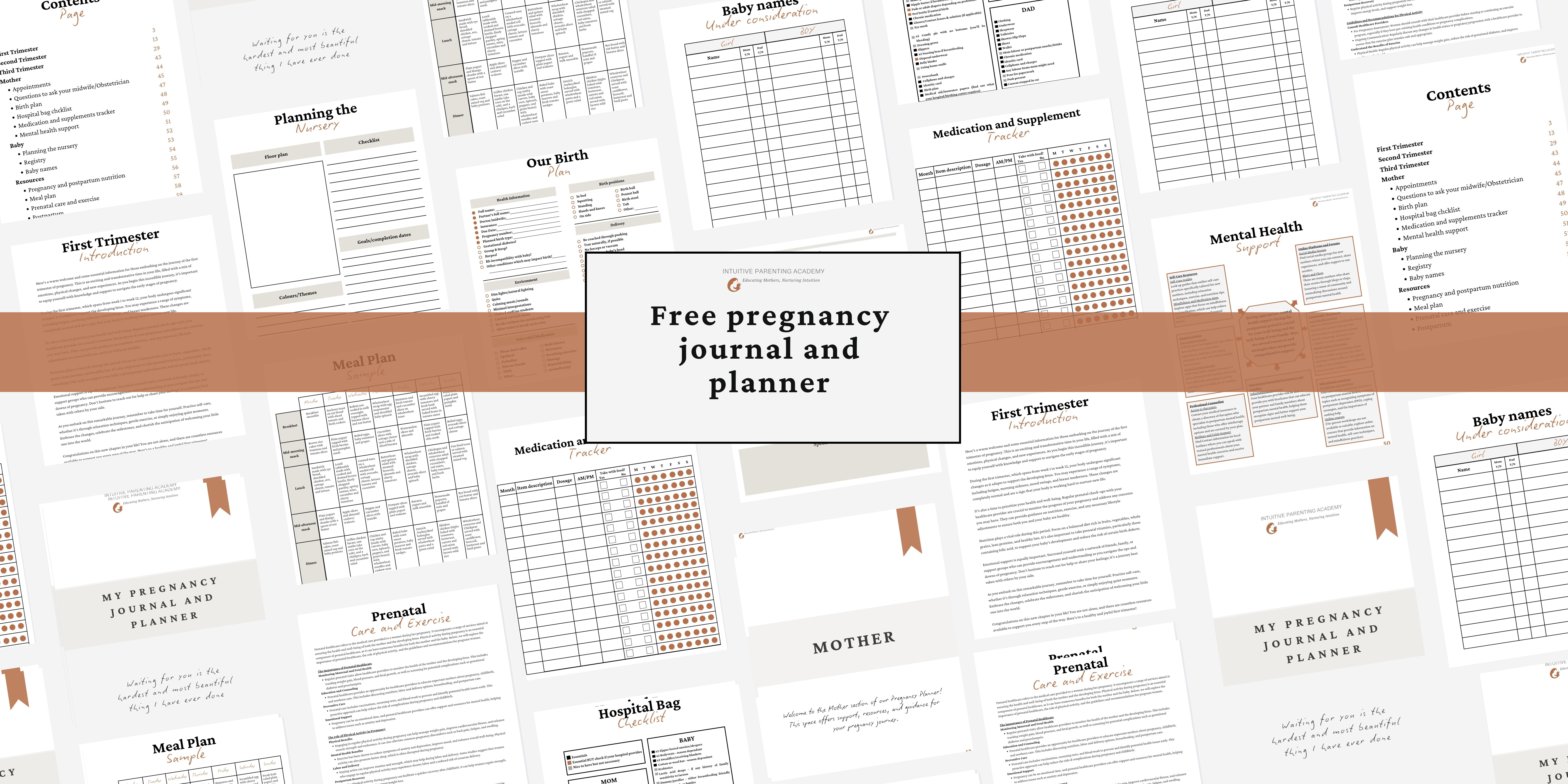 Free Pregnancy Journal and Planner